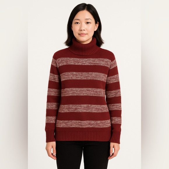 NWOT Eddie Bauer‎ Turtleneck Striped cotton blend Sweater, Burgundy XL - Picture 1 of 10